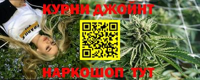 jwh Кингисепп