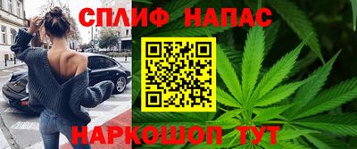 jwh Кингисепп